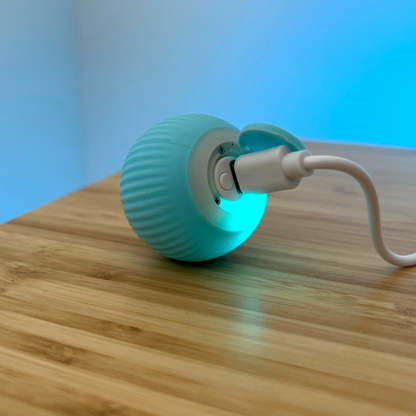 Smart Cat Toy