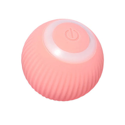 Smart Cat Toy